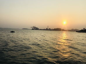 自驾游：探索鹏城的美丽海岸线