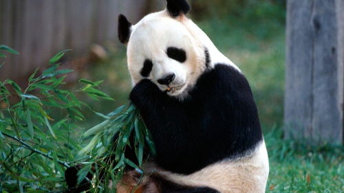 惯与周一至周五的特殊情况（重点来了！）