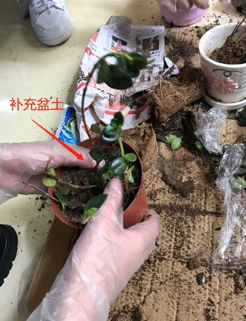 ② 《周易·坤卦》隐语