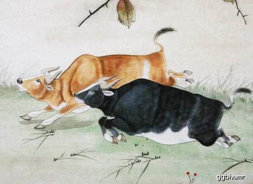 情感运势：家庭生活和谐是王道