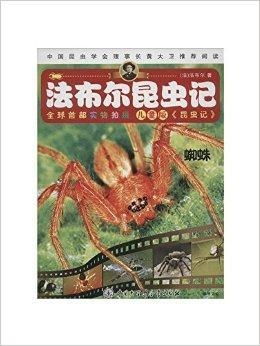 二、 风水视角下的蛛丝结界