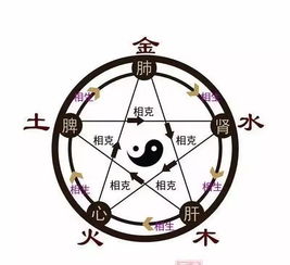 汽车五行属什么命格，汽车在五行中属于哪个五行意思是什么？