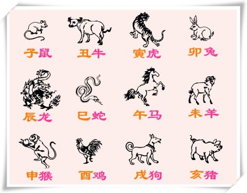 中国新年图腾生肖代表什么，其背后的生肖意义是什么？