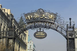 2. 中央大街的浪漫风情