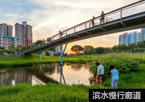 震惊！2026年去公园居然还要钱？！这背后藏着惊天秘密