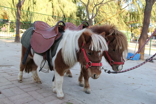 活动时间：倒计时开始！（我以经开始激动了！）