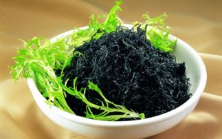 种植紫菜怎么养殖,如何种紫菜