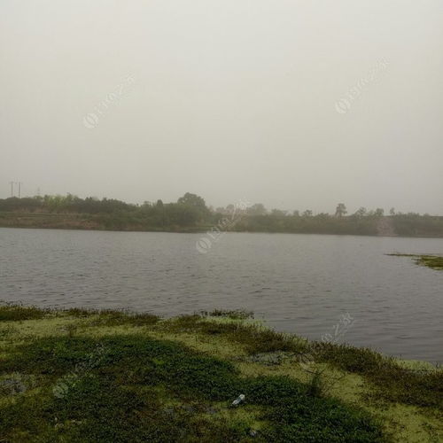 凤翔区东风水库简介,凤翔区东风水库简介