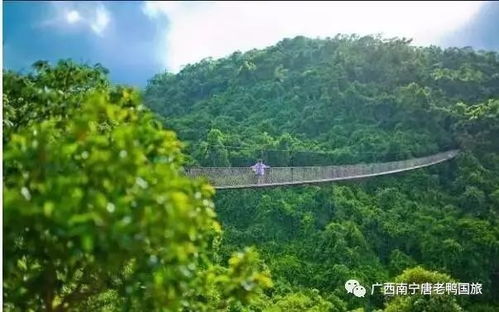 漫步山间