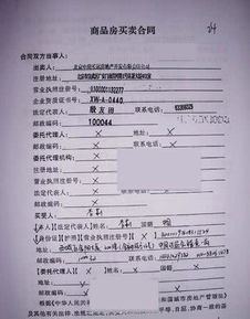 这一天天上的星星咋说的？