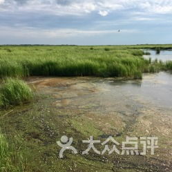 安邦河湿地88元吐血大甩卖！去过的都哭了！