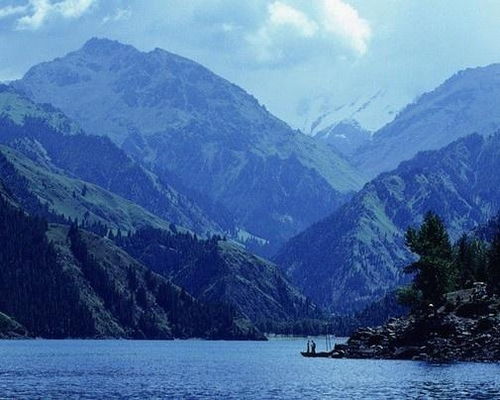 东天山森林公园：免费不等于廉价 这里藏着无价之宝