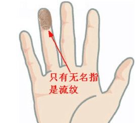 手指长短手相图真人展示，五根手指长短手相如何判断？