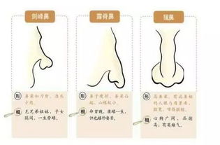 “邪正堪眼鼻, 真假堪嘴唇”——眼睛和鼻子才是关键