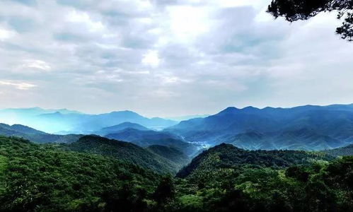 1. 理县酥油茶：香醇浓郁， 驱寒暖身
