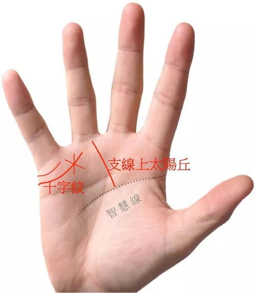 文章正文开始
