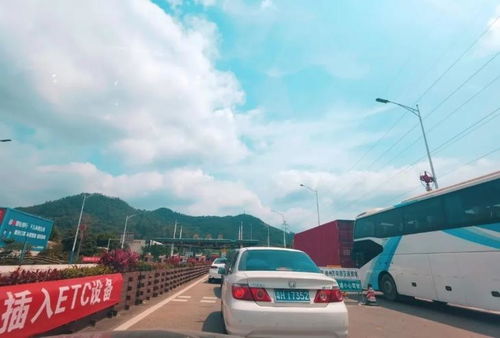 交通运输指南：怎样从同心县前往银川这一些特色景点？