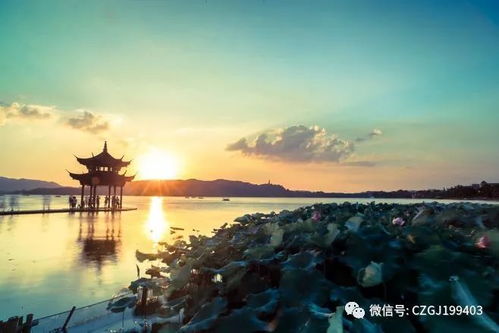 西湖畔的创业故事
