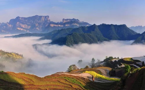 2026年1月哪天是最佳安门吉日，7月哪天最适合安门吉日？