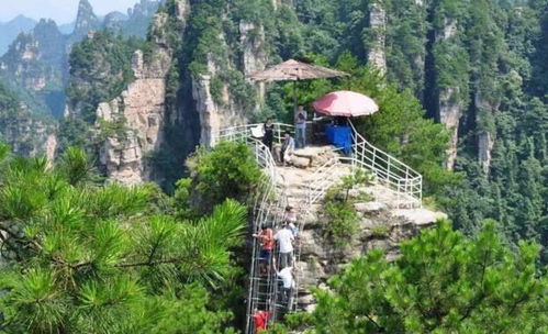 其他鬼地方：晒成黑炭也要去