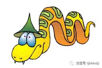 2013年和2001年属蛇人在2026年农历五月和整年的运势分别如何？