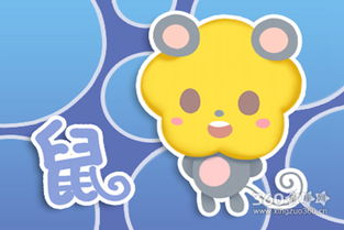 三、 一步步拆解：“鼠宝宝带沐”的潜在较长尾