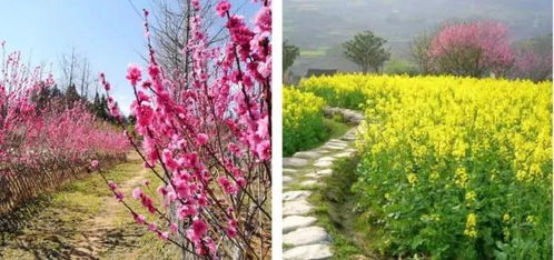 大连劳动公园：一个惯与四季的碎碎念，到底合不合适？