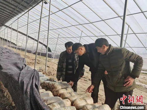风水角度：阴阳失衡？