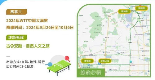 自主行 vs 导游带队——到底选谁？