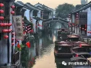 1.1 金黄叶片铺成童话世界