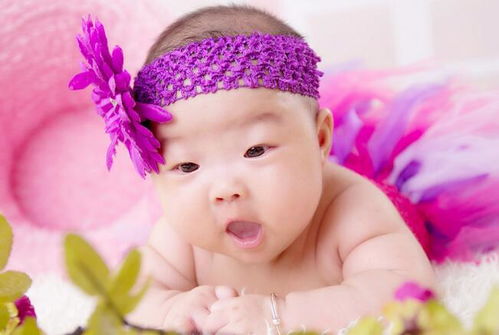狗年出生女孩乳名三大起名法（不靠谱）