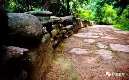 五、一日游的疯狂：我们真的能穿越吗？