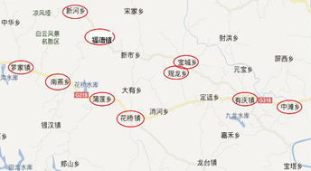 乡村小路的意外惊喜