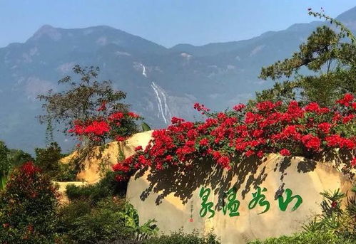 赏花圣地沦为相亲角