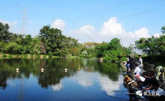 平旺乡平旺村,平旺水库哪里适合钓鱼