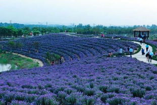 拍照圣地or拍照剩地？这些坑千万别踩！