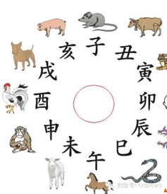 十二生肖？十二星座？太low啦！