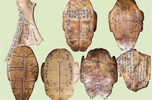 算命中的三七指的是什么，它代表哪个生肖？