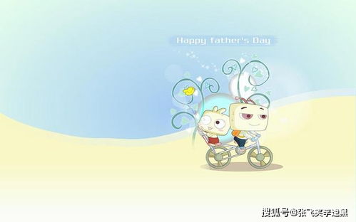 处女座：完美主义的碰撞