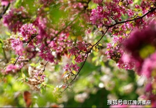 四、桃花运不够旺？来点骚操作