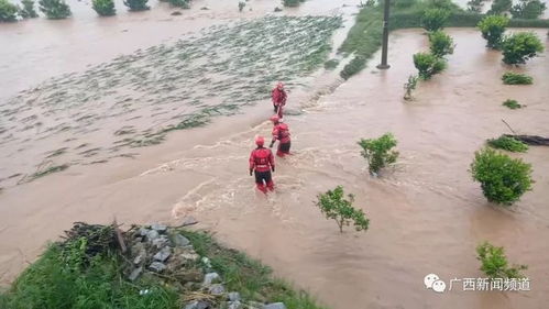 政府救市：雷声大雨点小