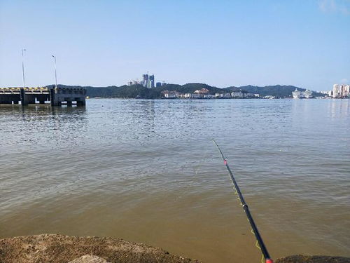 关于那些所谓的“适合亲子出游的地方”