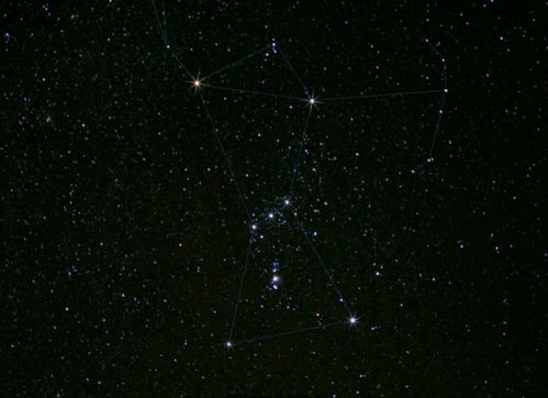 猎户座一等星猎户座7904是哪颗星？