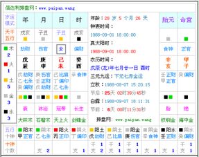 姓名生辰五行查询，能否精准揭示已巳日柱女命运势？