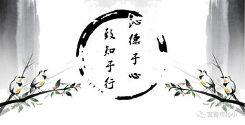 乱入的古文碎片与现代噪声混搭
