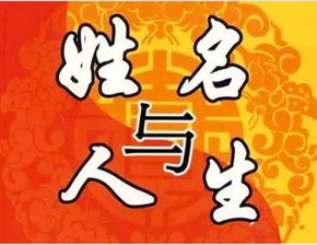 兔年——温柔且跳跃