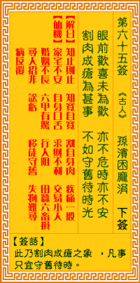 求子第八十一签详细解签，如何解读求子第六十五签的寓意？