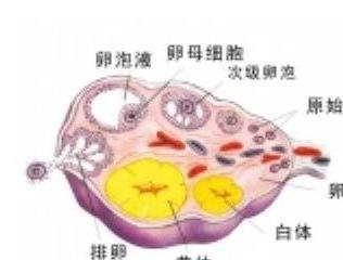 2.2 那一些“迟缓收缩”的奇葩案例（真实的有）！！???