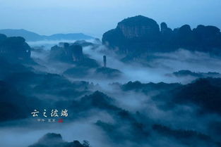 专业团队，全程保障（希望是真的）