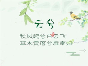 桂姓的秘密：木之灵气与五行的奥秘